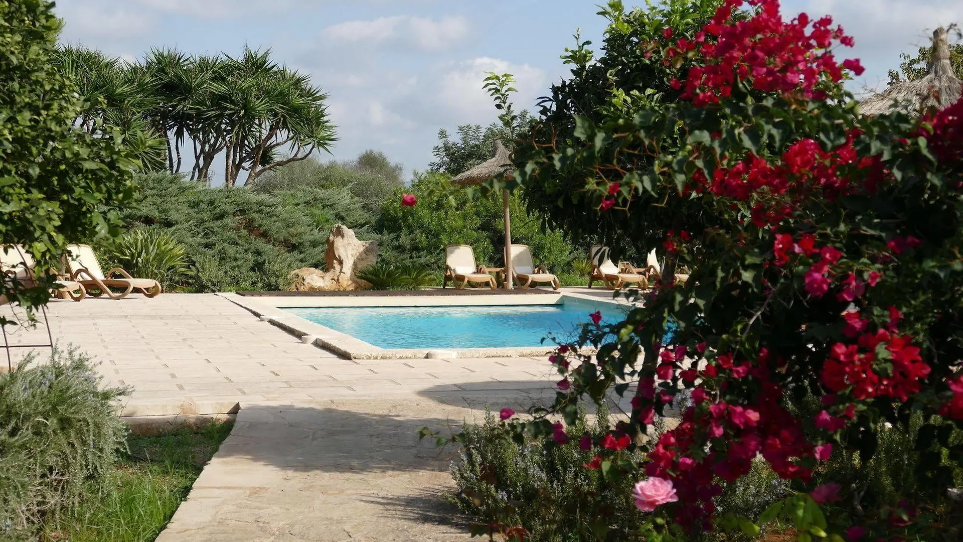 ***  Hotel Sa Carrotja - Adults Only Las Salinas España