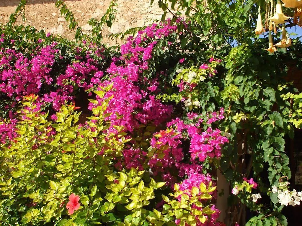 Hotel Sa Carrotja - Adults Only Las Salinas